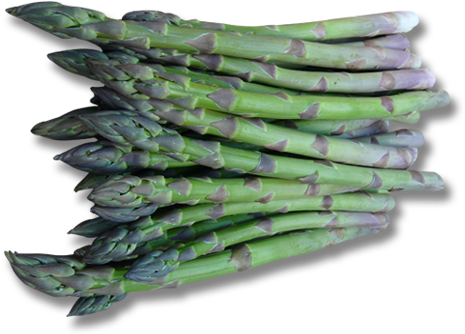 Guelph (556x350), Png Download