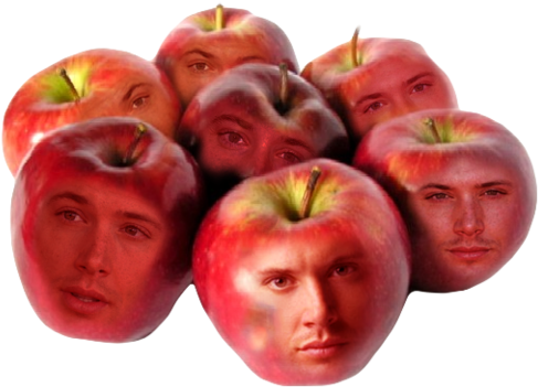 Free Library Jensen Ackles Dean Winchester - Fresh Apples (500x368), Png Download