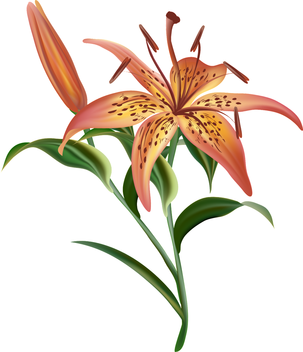 Golden Orange Bouquet Transparent Decorative - Flores Realistas (1024x1188), Png Download