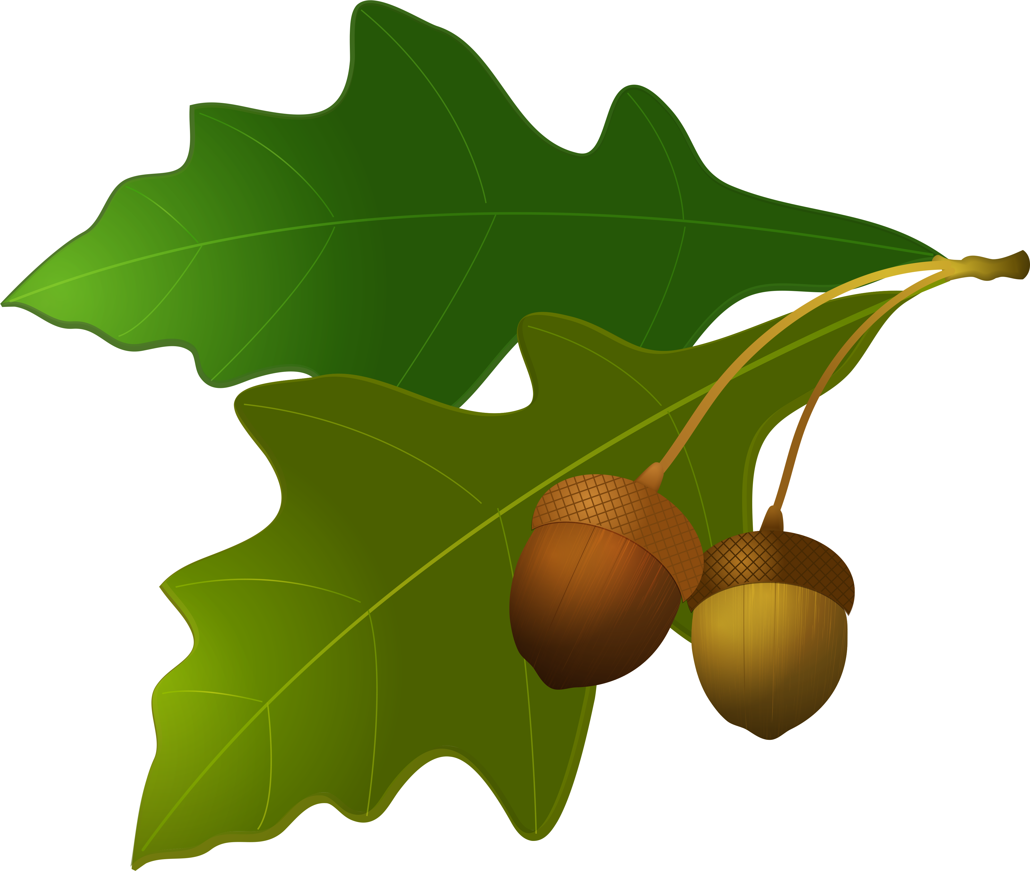 Acorn Png Image - Acorn And Oak Leaf (4284x3709), Png Download