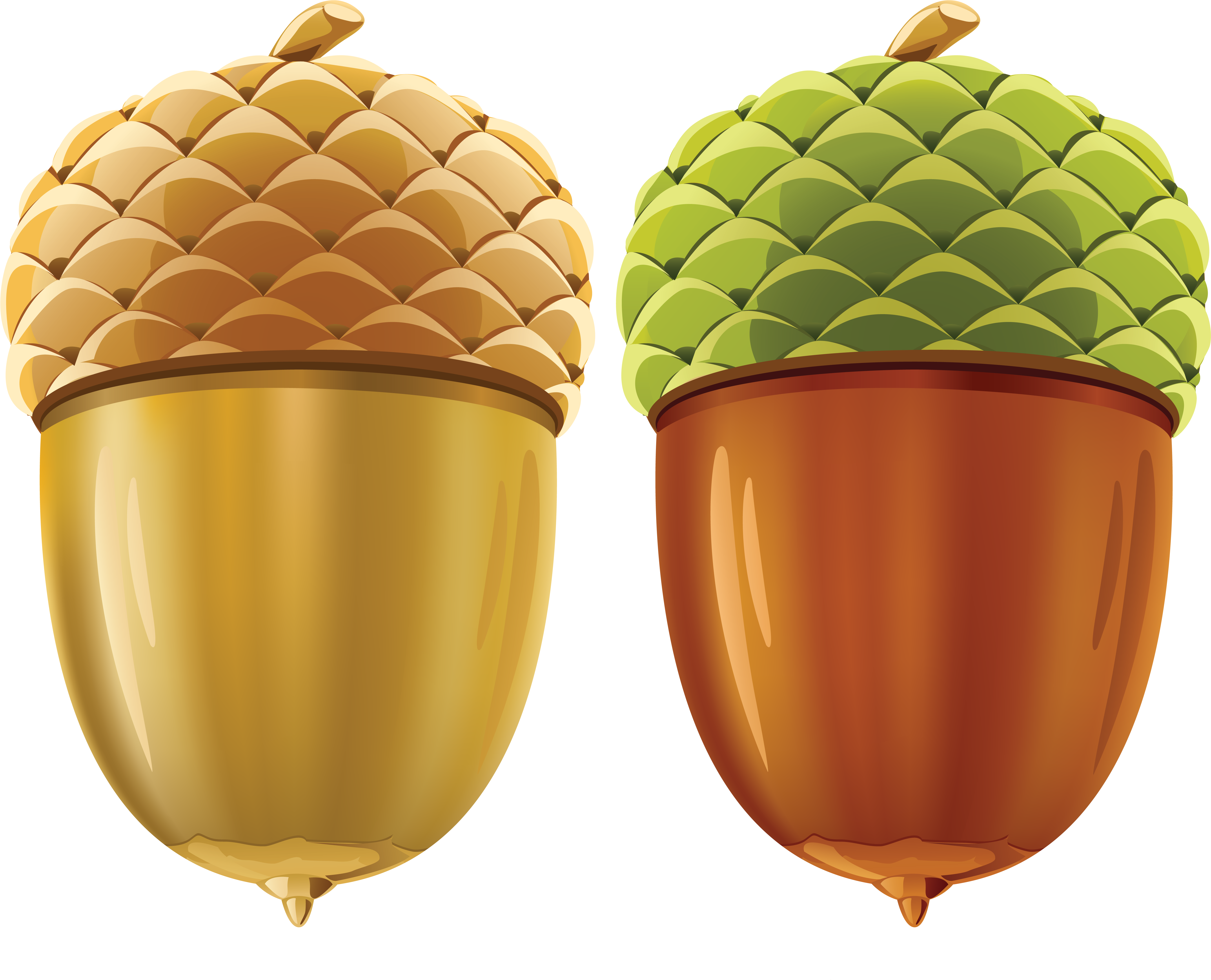 Nuts Vector (5602x4457), Png Download