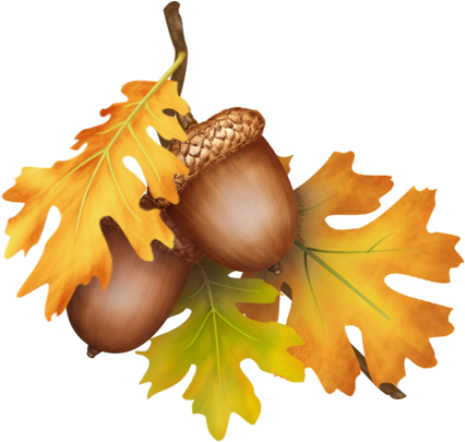 Acorn Drawing Pen - Oak Leaves With Acorns (450x460), Png Download