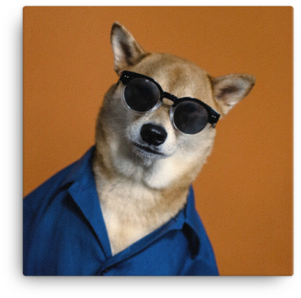 Mensweardog Oh Hai Canvas - Companion Dog (650x650), Png Download