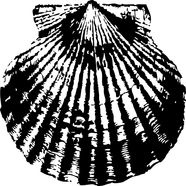 Sand, Pattern, Beach, Ocean, Scallop, Shell, Collect - Scallop Seashell Clipart (640x640), Png Download