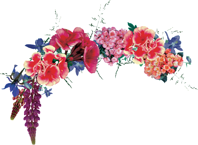 Hand-painted Vivid And Beautiful Lace Png Transparent - Portable Network Graphics (650x478), Png Download