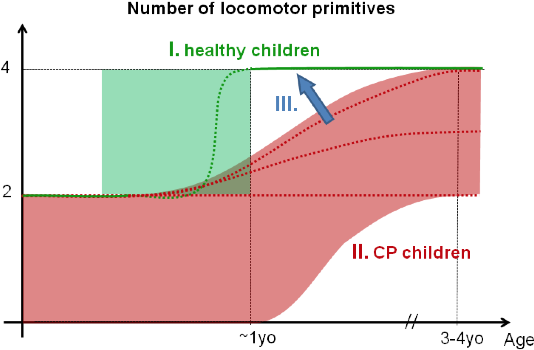 Muscle Synergies - Diagram (560x374), Png Download