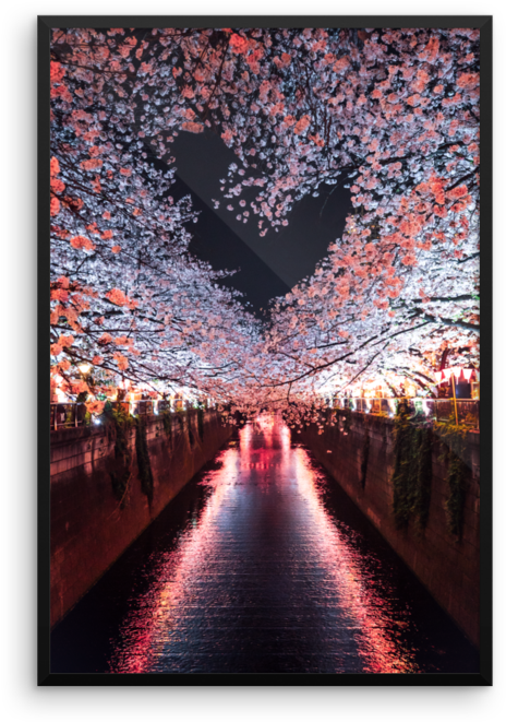 Japan Cherry Blossom Heart - دلنوشته درد دل باخدا (740x740), Png Download