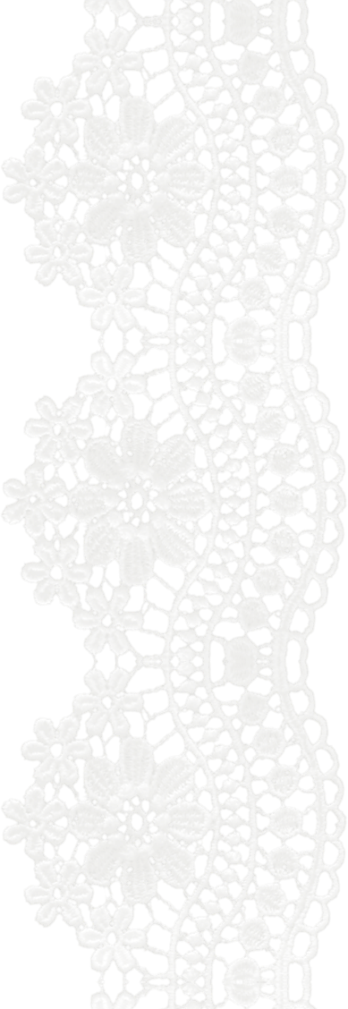 White Lace - Doily (389x1128), Png Download