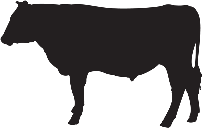 Pipeline Icons Cattle (1000x732), Png Download