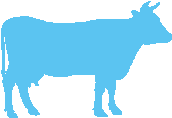 Only A2a2 Cows - Cows Vs Insects (350x350), Png Download