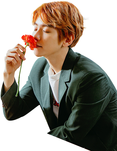 Baekhyun 백현 _ 바래다 줄게 Take You Home (500x500), Png Download
