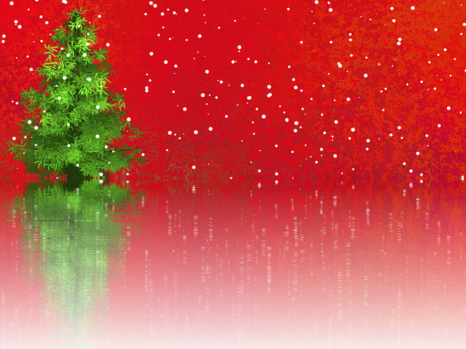 Christmas, Christmas Tree, Christmas Motif, Background - Christmas Background Transparent Png (960x720), Png Download