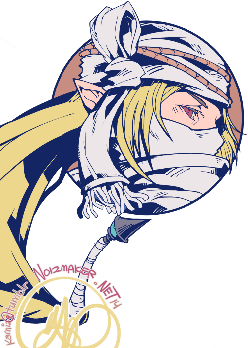 Sheik Digital Art - Hyrule Warriors Sheik (500x700), Png Download