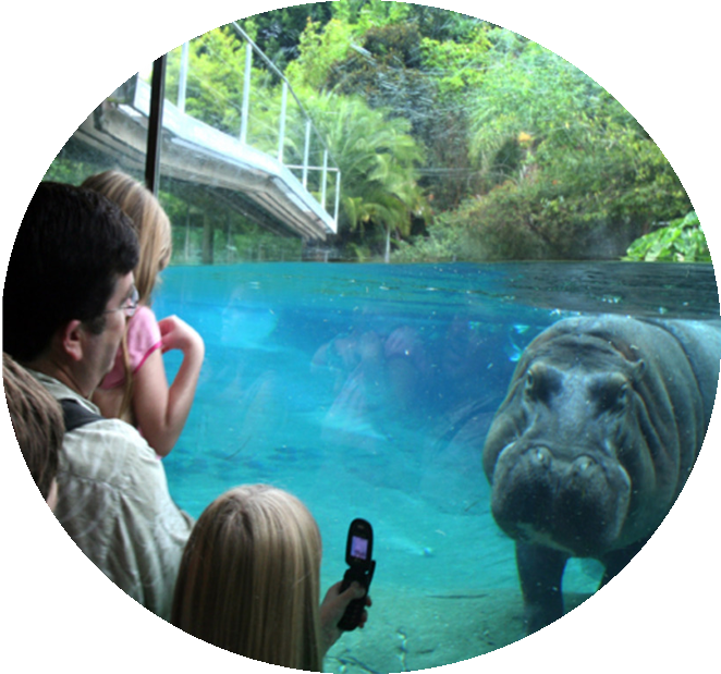 Kids Free In Oct At San Diego Zoo & Safari Park - San Diego Zoo (662x619), Png Download