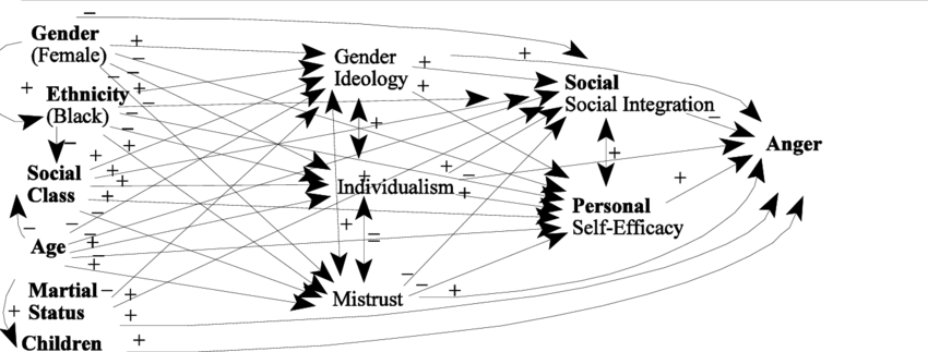3 A Social Structure And Personality Model Of Anger - Science (850x323), Png Download