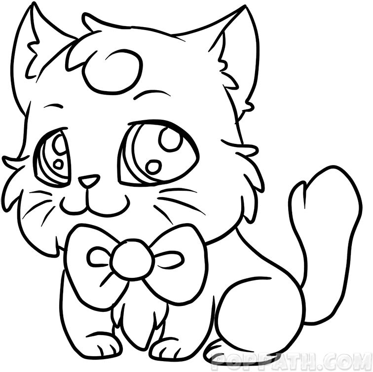 How To Draw A Bowtie Kitty - Draw A Cat With A Bowtie (800x800), Png Download