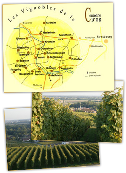 Situated At Some Leagues From Strasbourg, Wolxheim - Paper Product (418x583), Png Download