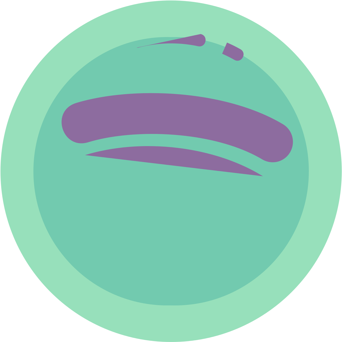 Spotify Icon Vector - Camera Icon (1600x1600), Png Download