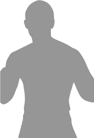 Tiger The Dark - New Japan Pro-wrestling (400x600), Png Download