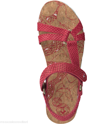 Red Panama Jack Sandals Sally - Sandal (500x500), Png Download