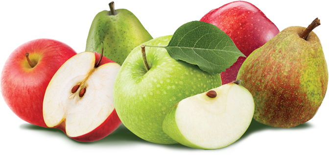 Lindy Lan Port Blocker - Black - X20 (672x316), Png Download