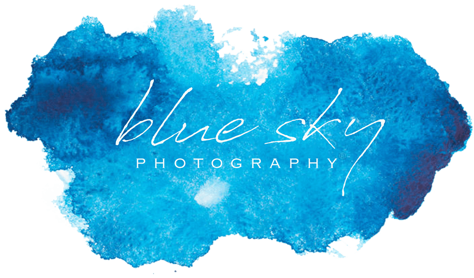 Blue Sky Photography - Blue Sky Photography Logo (940x551), Png Download
