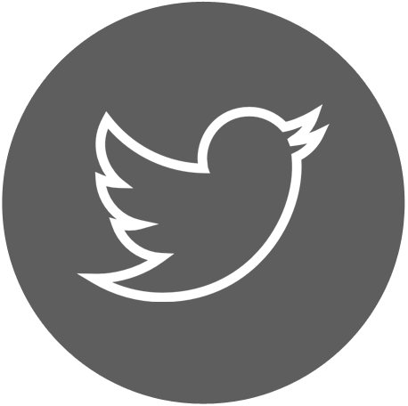 Connect Social - Twitter Icon Png Circle (458x456), Png Download