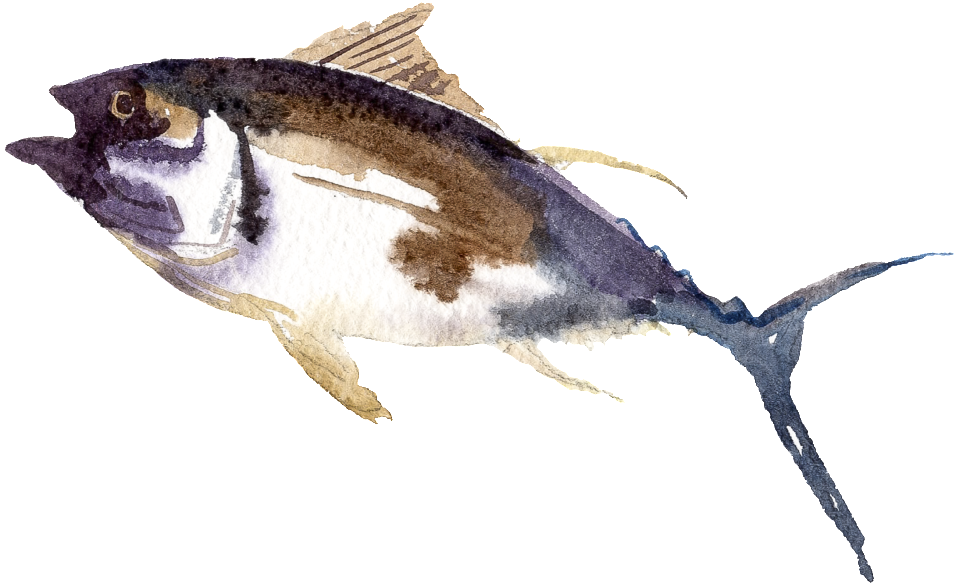 Black Watercolor Hand Drawn Fish Transparent - Fish (1024x1024), Png Download