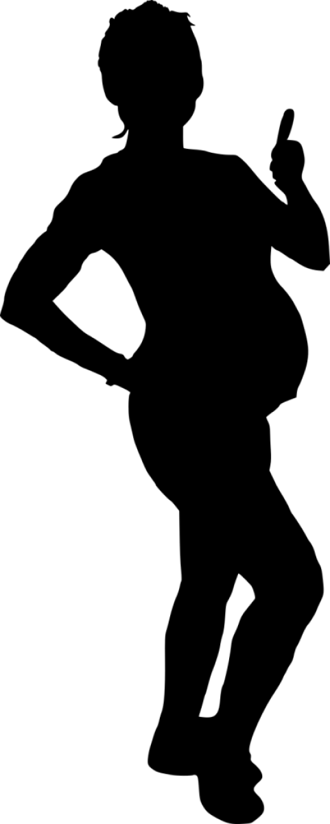 Free Png Pregnant Woman Silhouette Png Images Transparent - Taekwondo Kicks Clipart (481x1202), Png Download