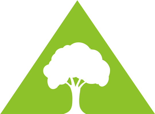 Tree & Stump Removal - Illustration (600x433), Png Download