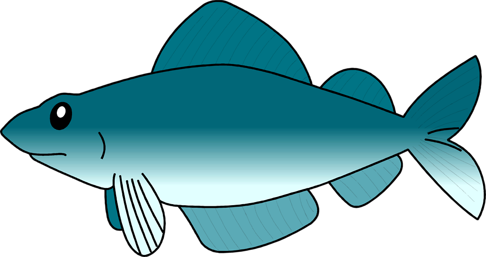 Western Clipart Seafood - Transparent Background Fish Clipart (958x506), Png Download