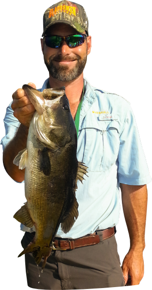 Lets Go Fishing - Pull Fish Out Of Water (313x596), Png Download