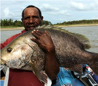 Png Black Bass Fishing Tours Picture Library Library - Papua New Guinea Saratoga (339x408), Png Download
