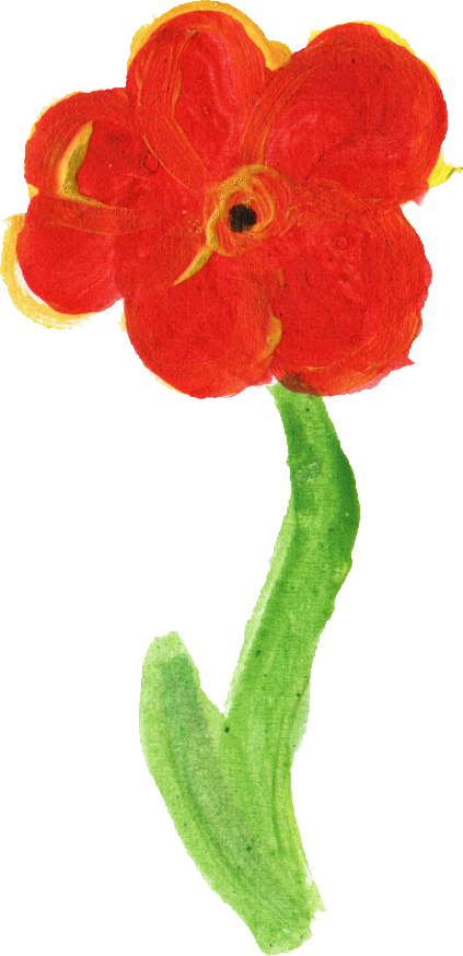 12 Simple Painted Flower Png Transparent Onlygfx Com - Persian Buttercup (423x874), Png Download