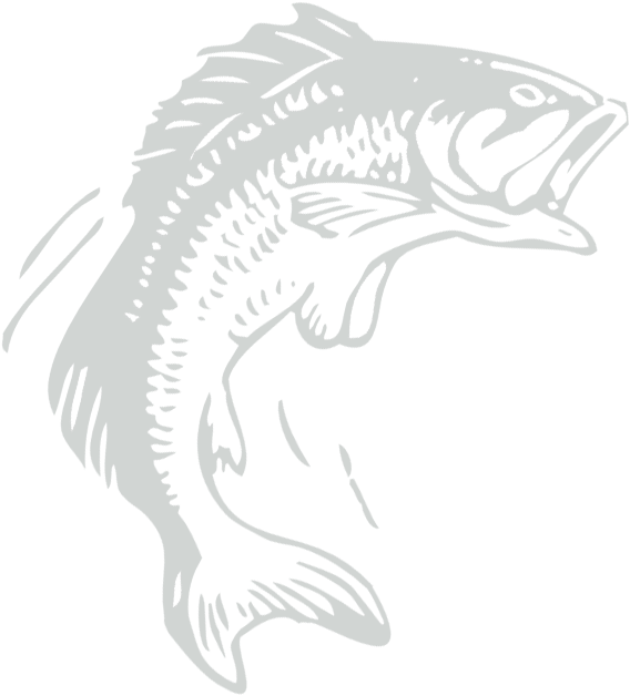 Fish Graphic - Bass Transparent Fish Black Logo (616x662), Png Download