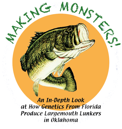 Series Details Efforts To Enhance Trophy Bass Fishing - Largemouth Bass (500x537), Png Download