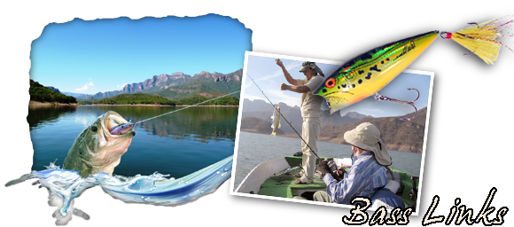 Largemouth Bass Fishing Links - Pull Fish Out Of Water (580x256), Png Download