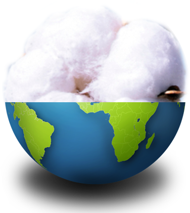 Cotton Experiments In The International Space Station - World Globe (504x552), Png Download