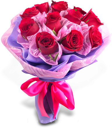 Love Rose Cuddles - Love Rose (480x480), Png Download