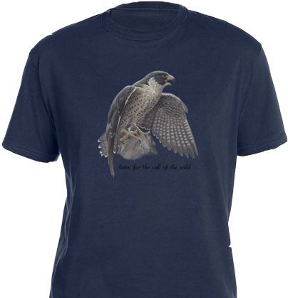 Peregrine Falcon - Hawk (450x450), Png Download
