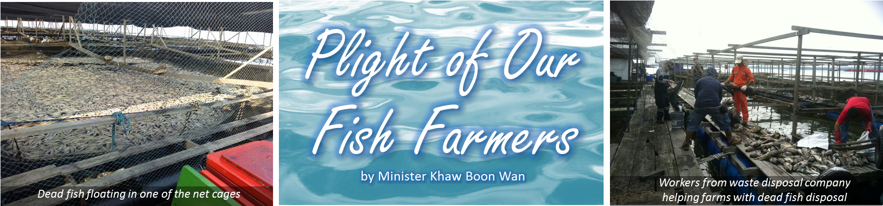 Plight Of Our Fish Farmers - Poster Hari Raya (1794x536), Png Download