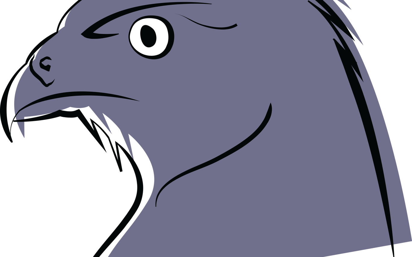 Falcon Clipart At Getdrawingscom Free For Personal - Falcon (1368x855), Png Download
