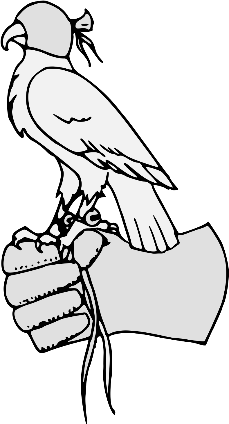 Details, Png - Parrot (918x1481), Png Download