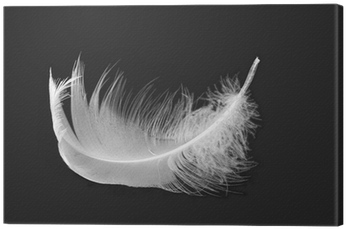 Bird (400x400), Png Download