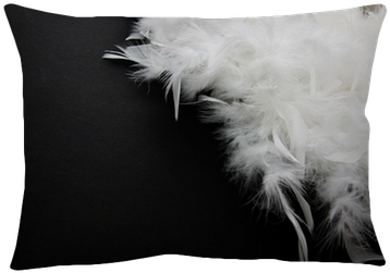 White Feather On Black Background - Feather (400x400), Png Download