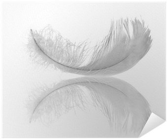 Feather (400x400), Png Download