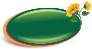 Sunflower Logo, Sunflower, Alternative, Rock Png And - Gerbera (360x360), Png Download