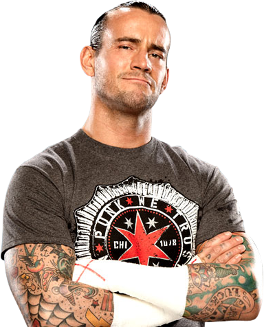 Ah You Liked It Share It - Cm Punk 2012 Png (384x476), Png Download