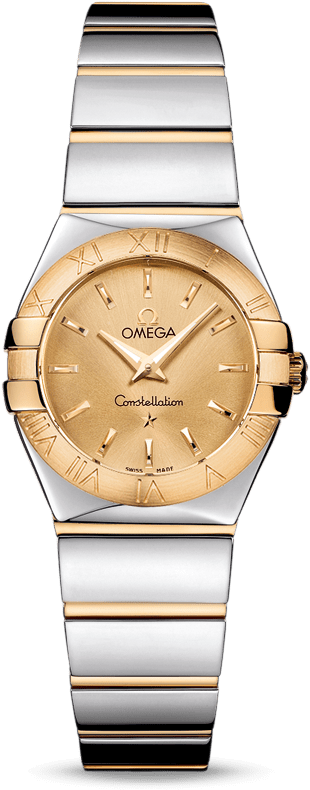 Constellation Constellation Quartz 24 Mm - Omega - Constellation Polished Quartz (800x1100), Png Download