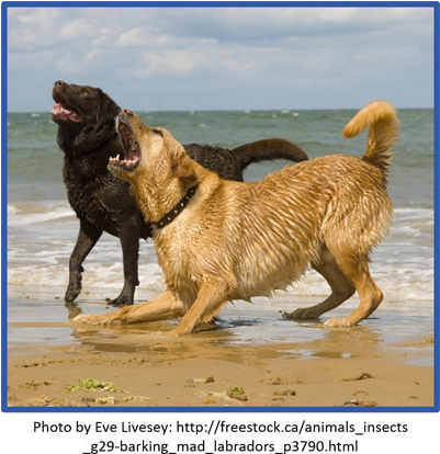 The Important Thing To Remember Though Is That The - Devocalization (400x423), Png Download